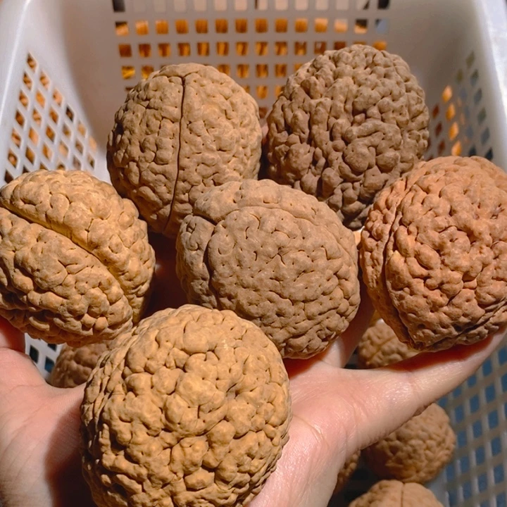 野生三瓣脑纹大金刚6颗