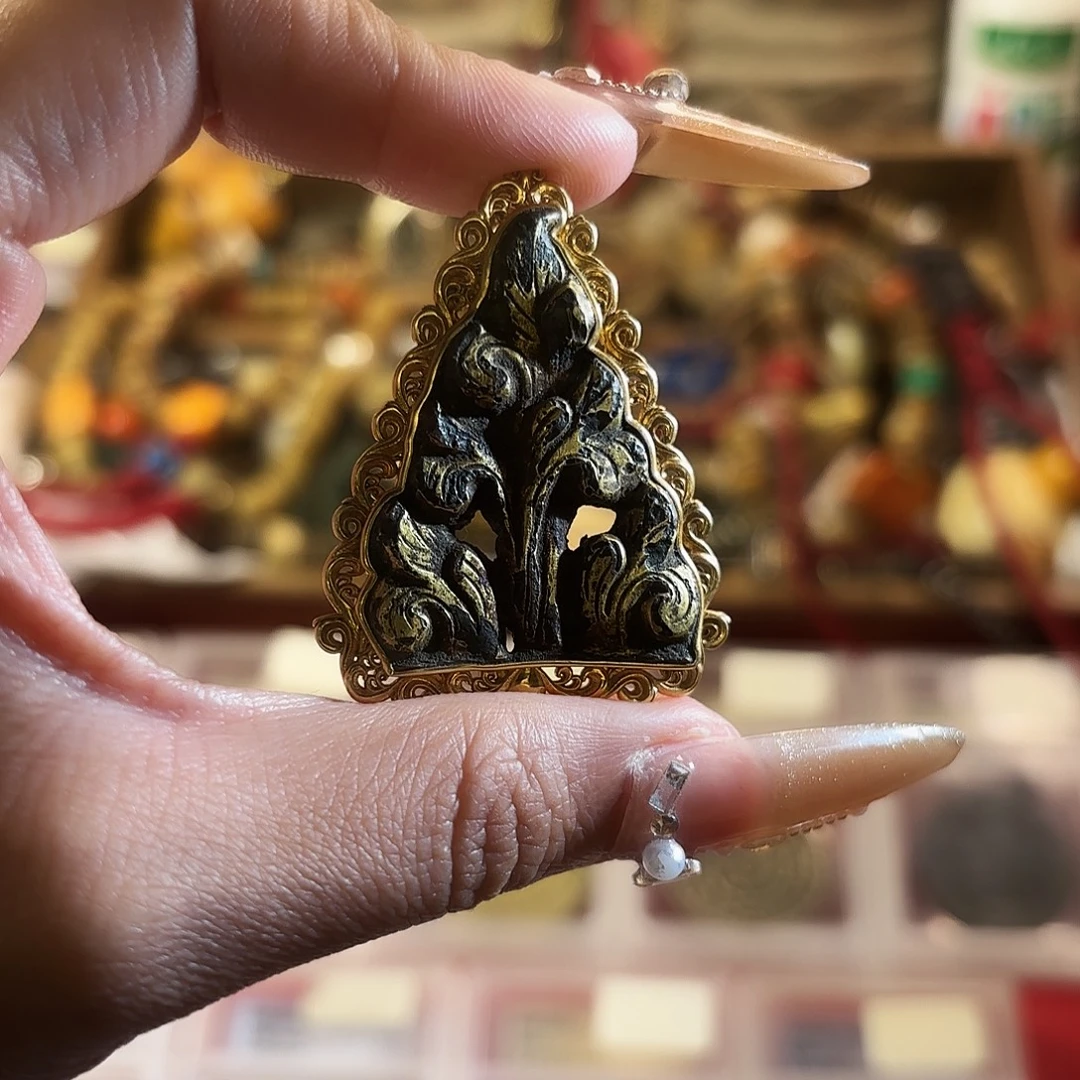 好好好好好好好好好看