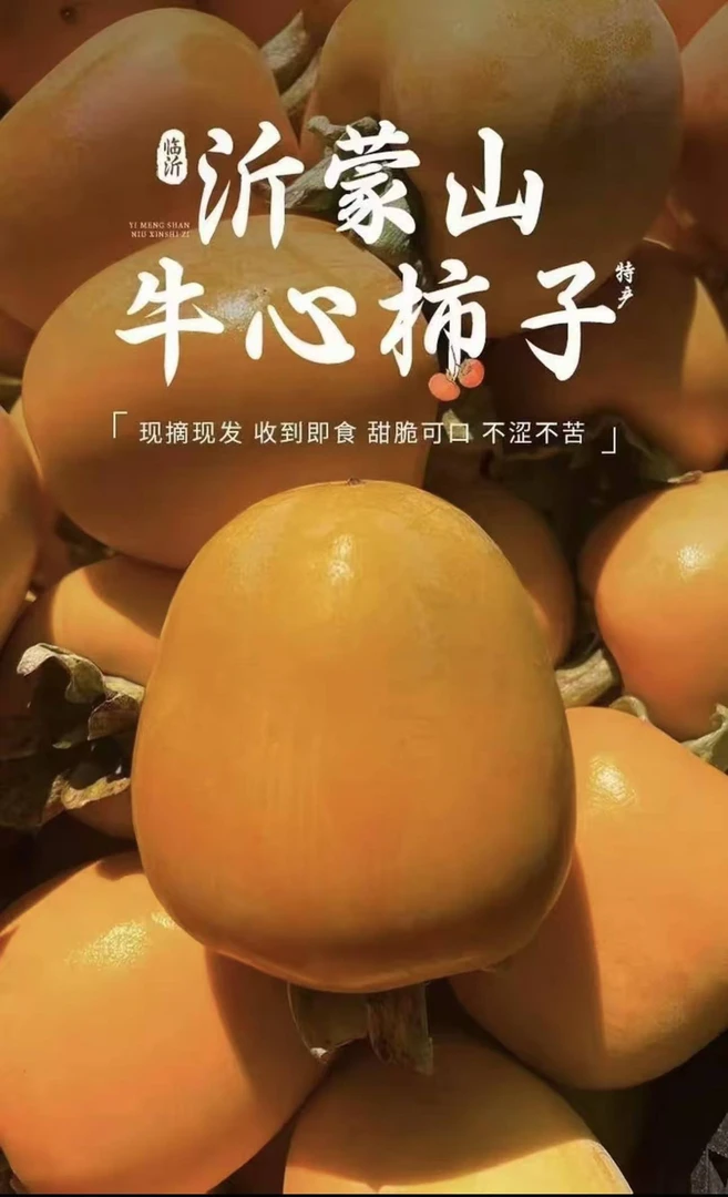 【冰糖心柿子】正宗沂蒙山牛心芒果脆柿子新鲜水果脆甜不涩无核