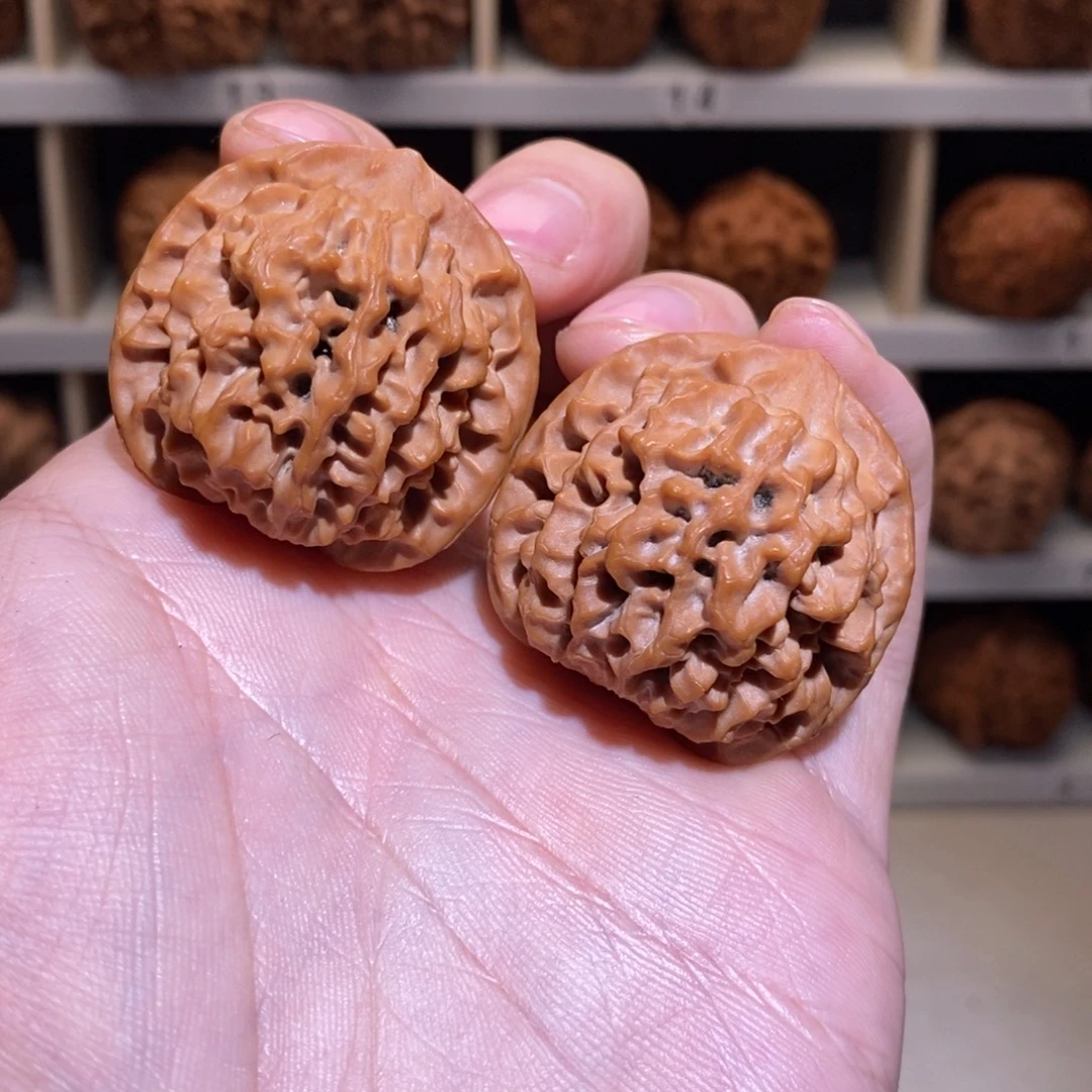 37尺 全品无修白茬 秦闷