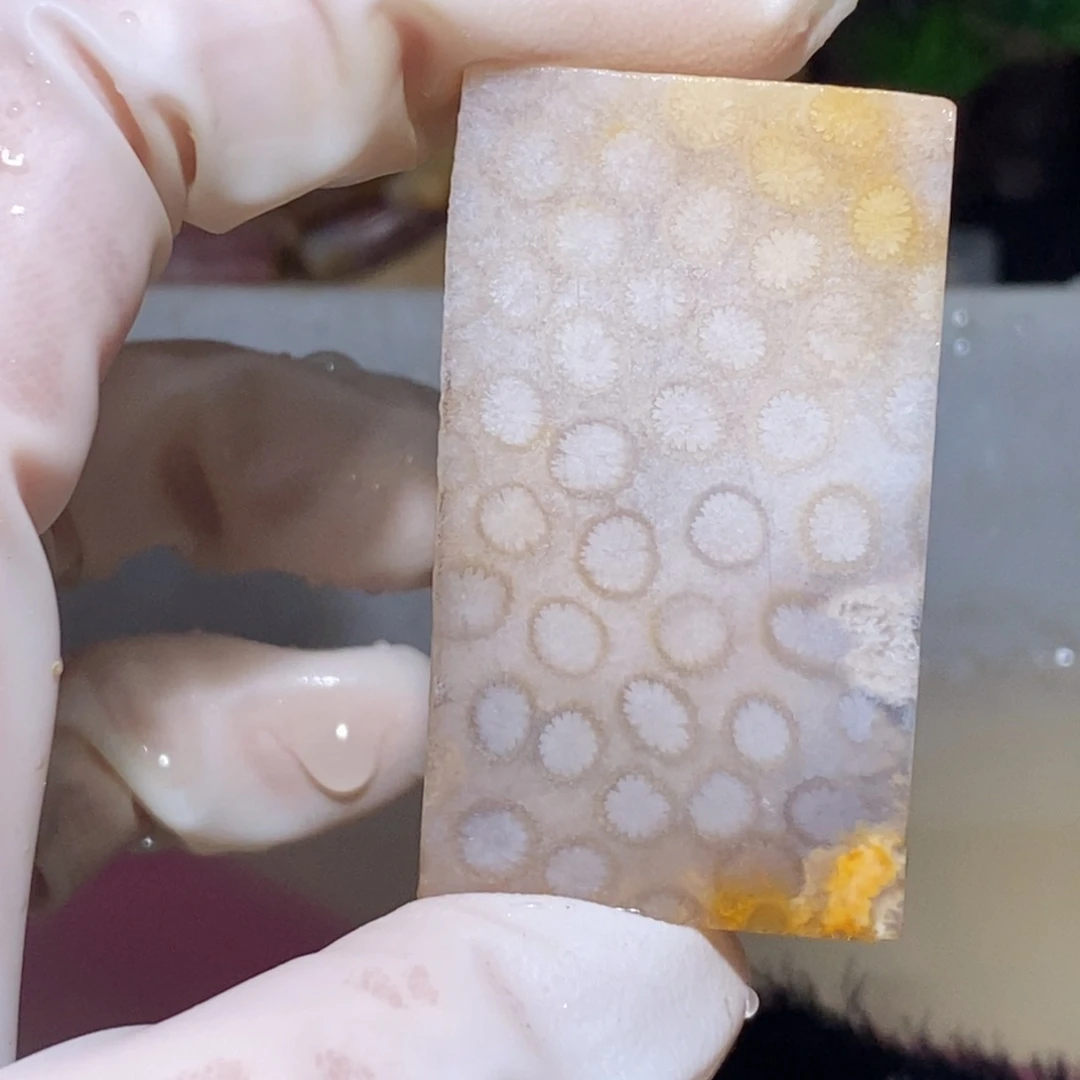 【闪购商品】硅化玉颈饰未镶嵌