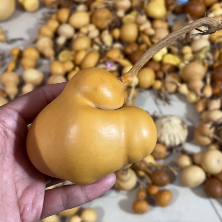 葫芦葫芦葫芦葫芦