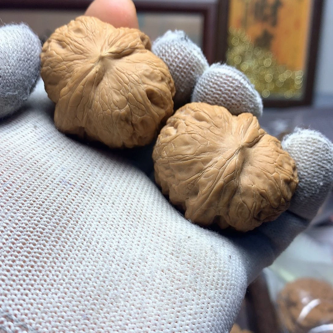 瑞林文言字词解释我