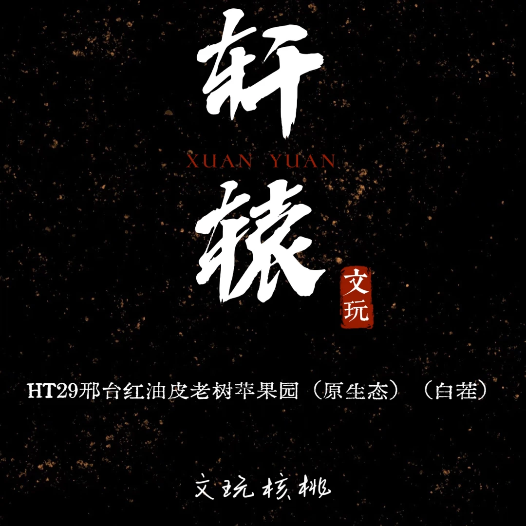 轩辕专属/HT29邢台红油皮老树苹果园（原生态）（白茬）