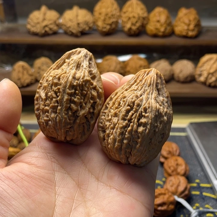 核桃鸭嘴兽修37.34.35