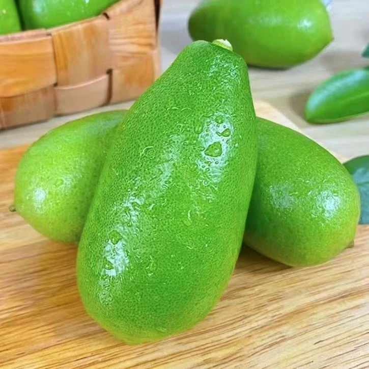 云南鲜果无籽新鲜采摘清香口感酸爽多汁果香浓郁奶茶店同款