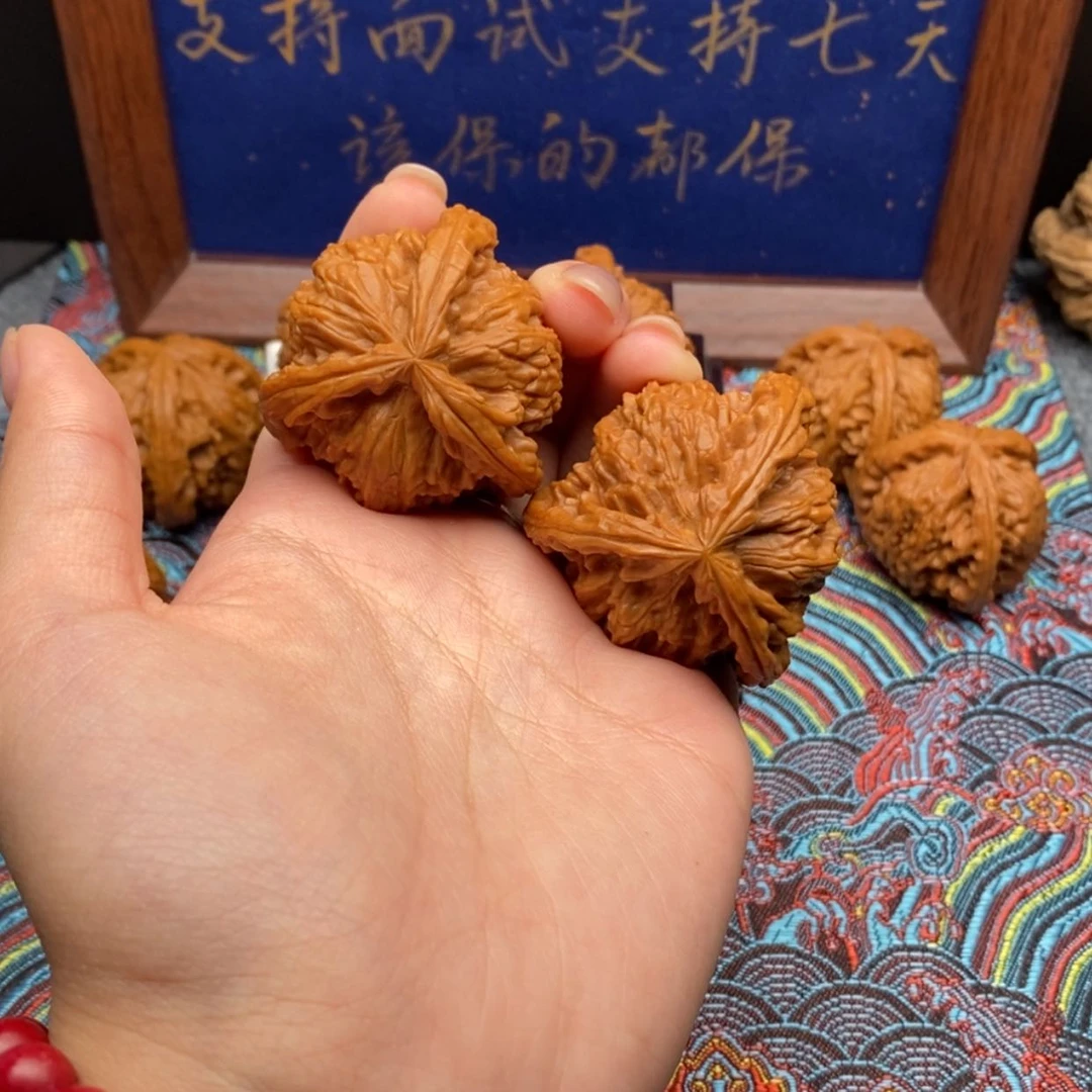 【闪购商品】智****司白狮