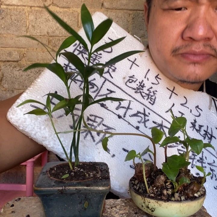 退款拉黑一物一拍31