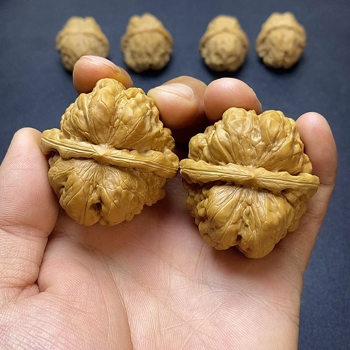 闪电边44肚46大蛤蟆头