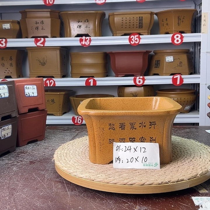 紫砂花盆蛇年大吉