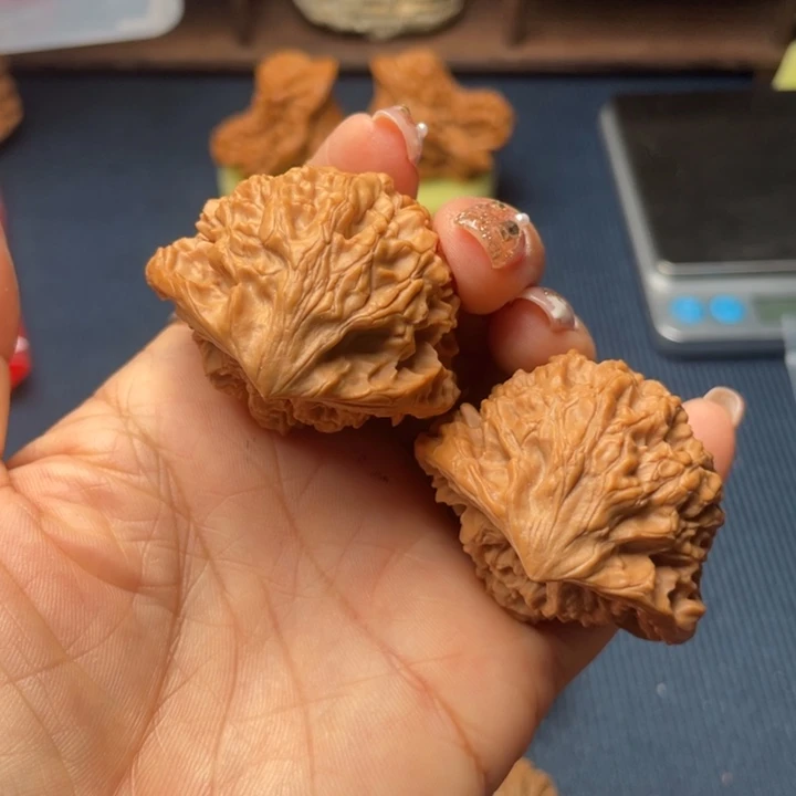 核桃43蛇头8888888