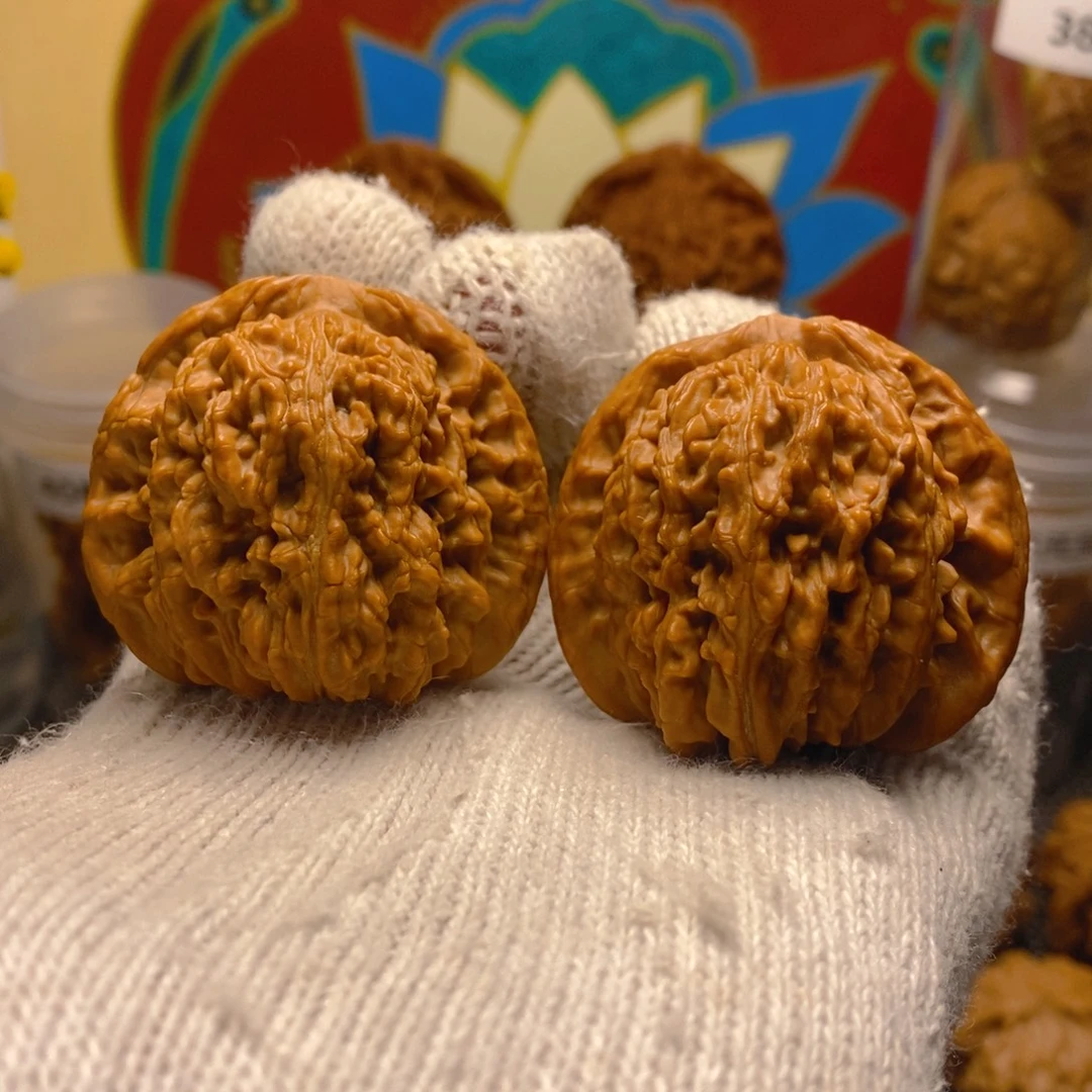 核桃熊儿寨一代楼45尺53克