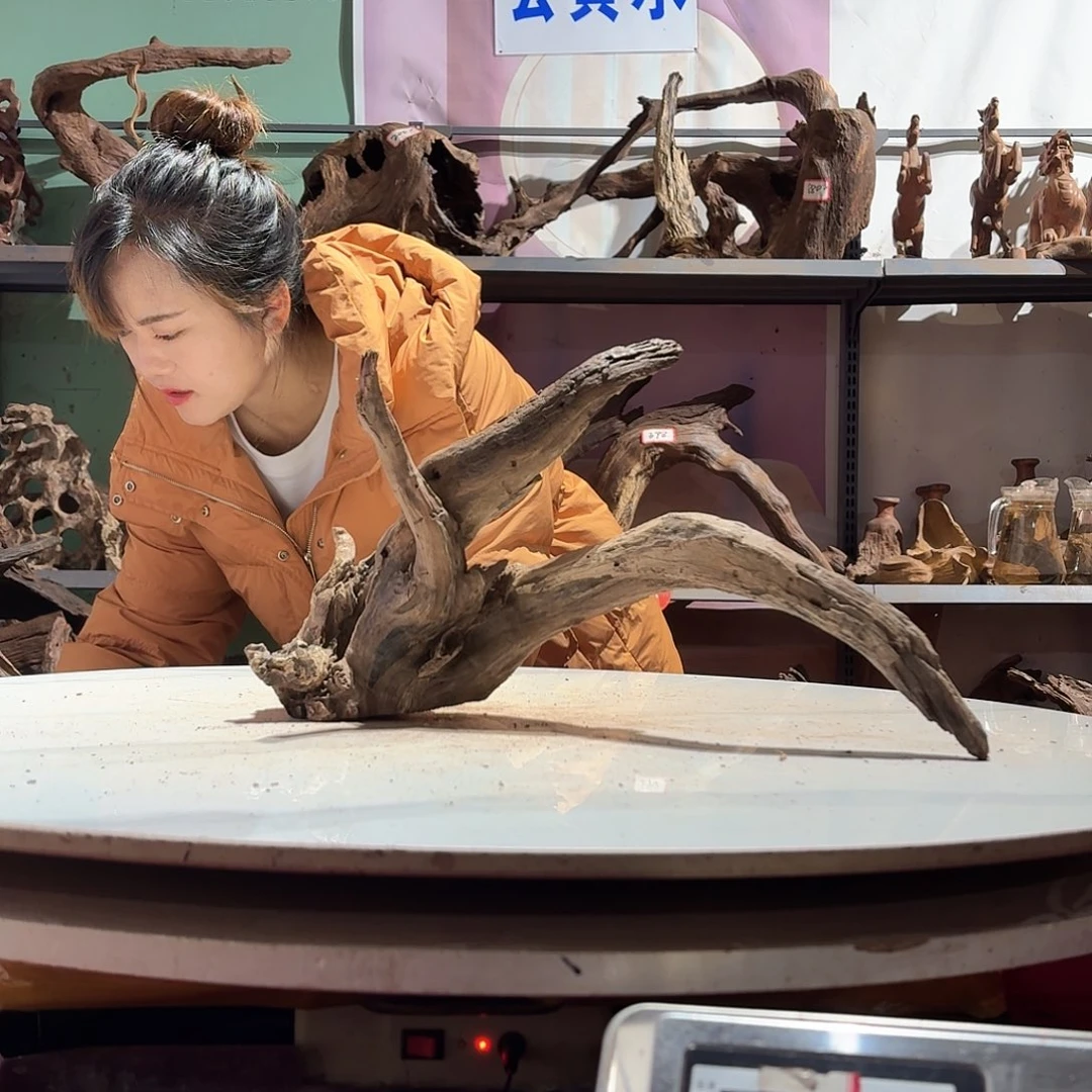 倍诸沉木不包损必褪色新7240