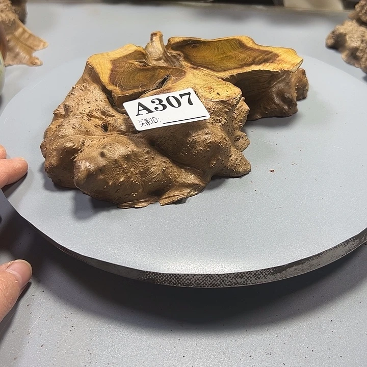 角***鱼大果紫檀（缅甸花梨）