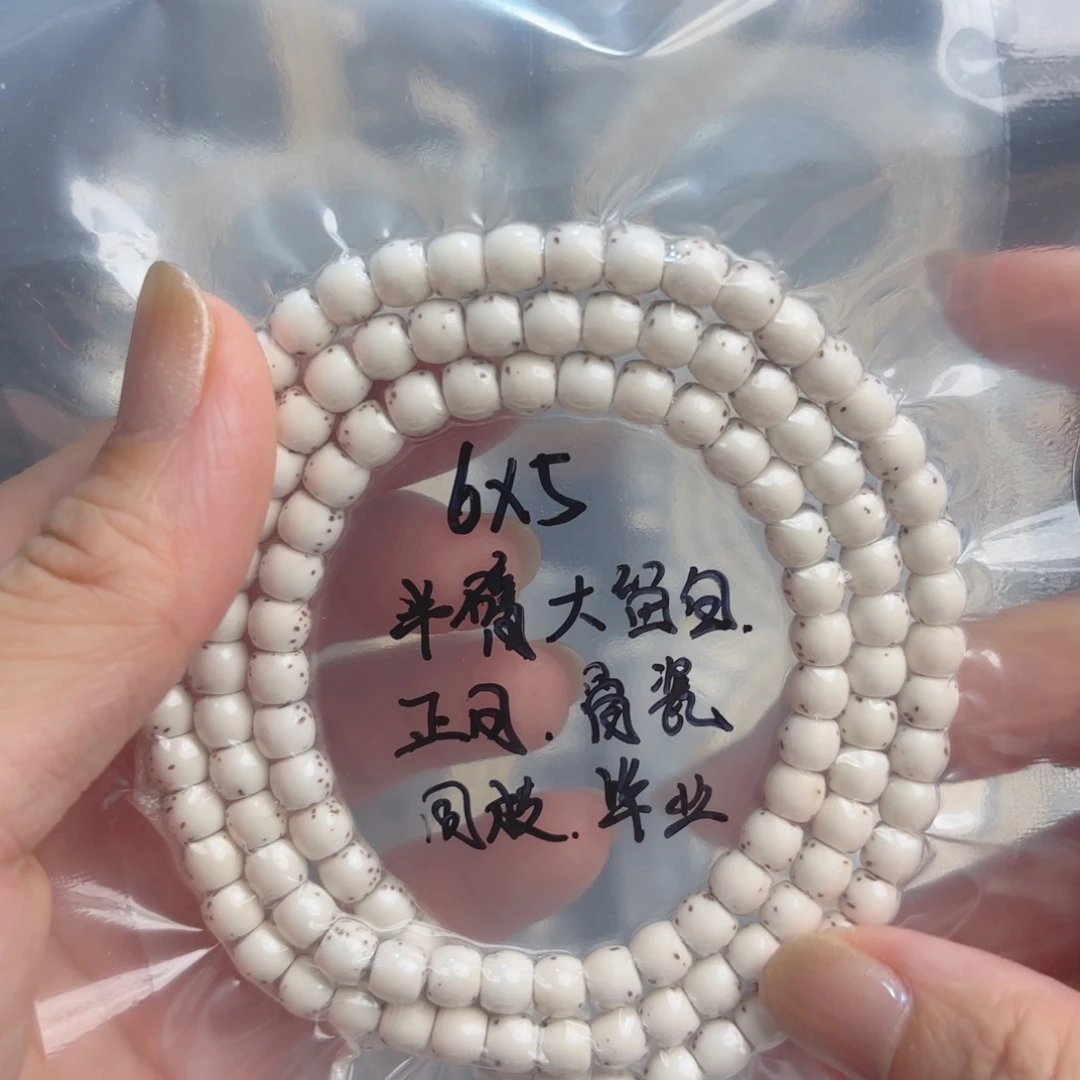 降***魔星月菩提把件海南
