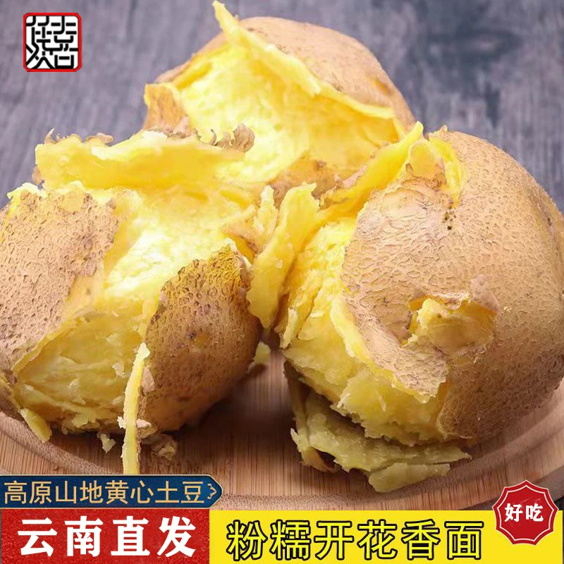 【老黑叔】云南新土豆农家高山黄皮丽薯土豆新鲜洋芋马铃薯