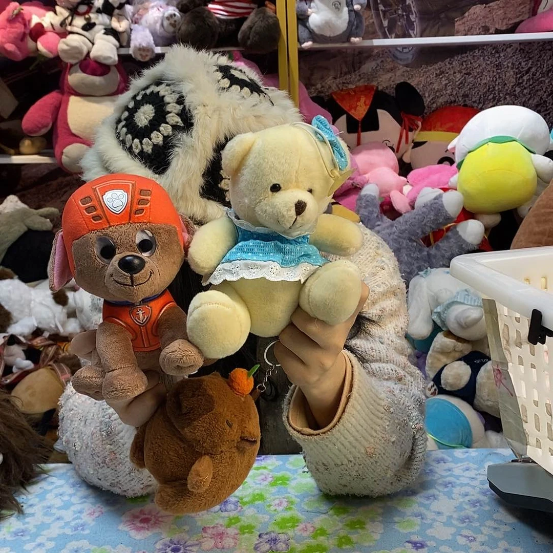 毛绒娜*毛绒玩具755