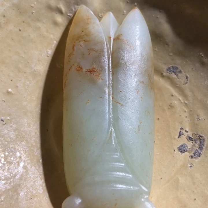 瓷片新号开播，福利炸炸炸