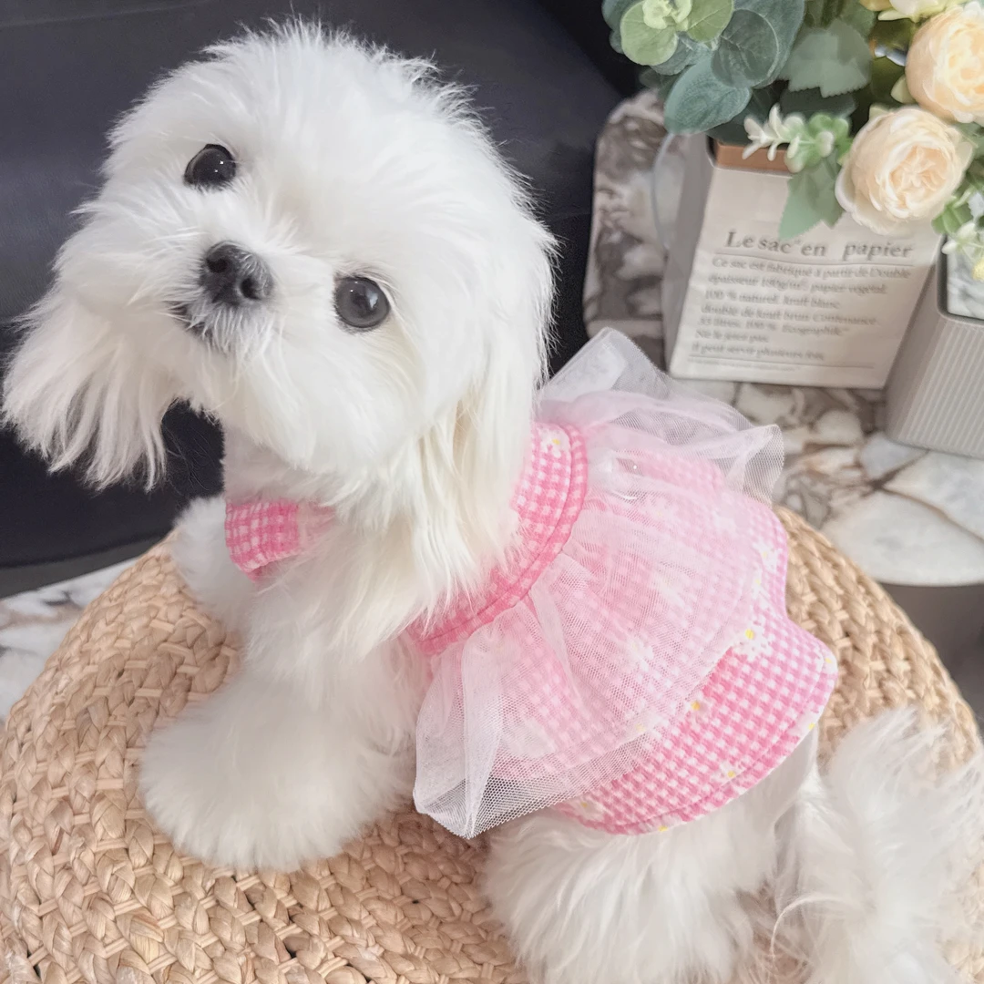 （清仓）新款宠物服网纱蛋糕裙