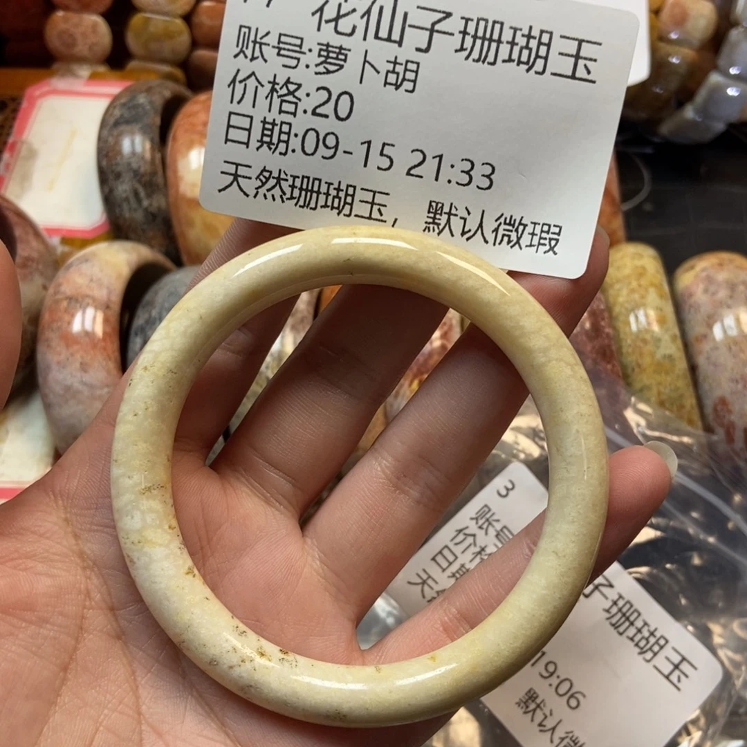 萝***胡未镶嵌硅化珊瑚（珊瑚玉）珠宝半成品77