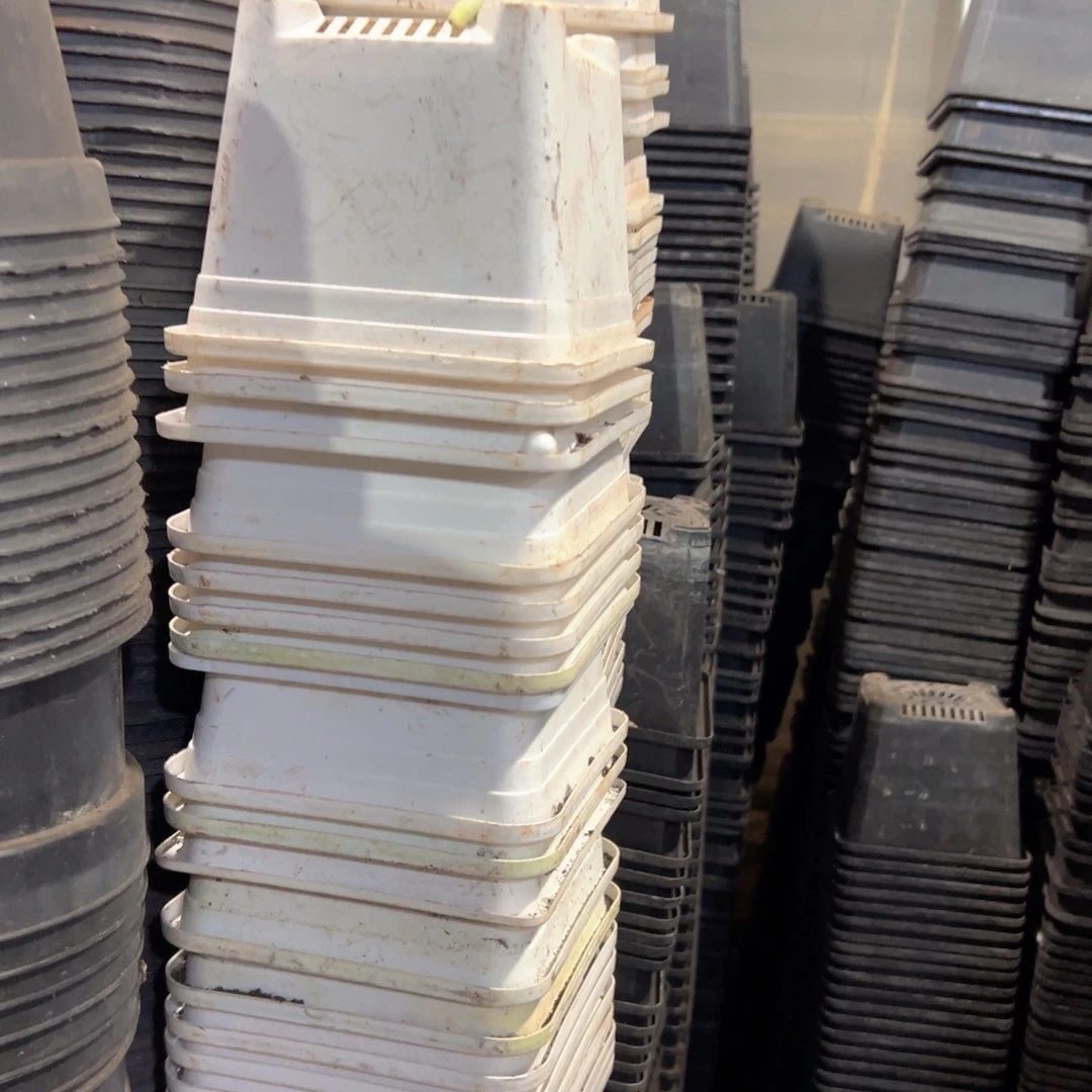 白方140盆13.5口径10高 10个