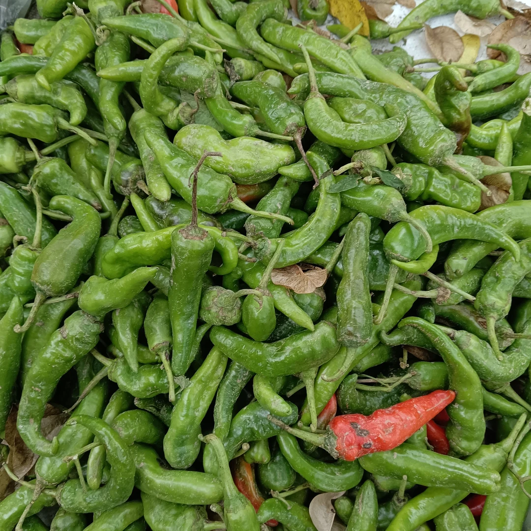 新鲜现采薄皮土辣椒特辣下饭农家蔬菜