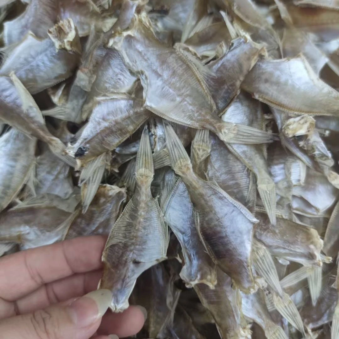 剥皮鱼干  香煎红烧焖肉 咸香配粥 下饭