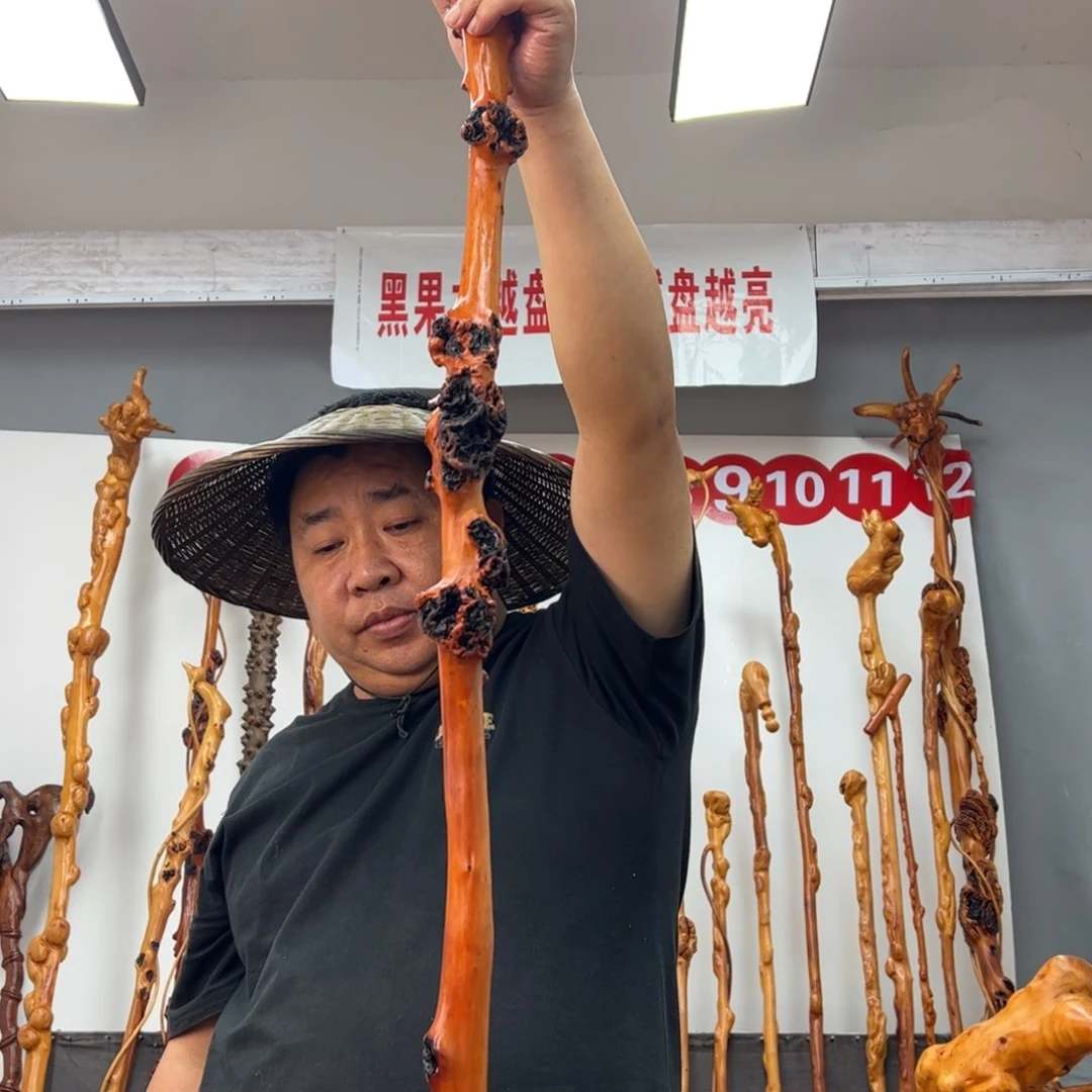 黑果木其他杨*平黑果木050