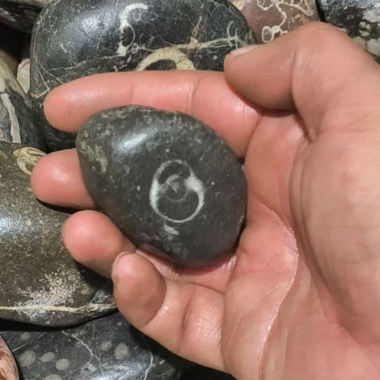 金***洋洮河水石，奇石摆件