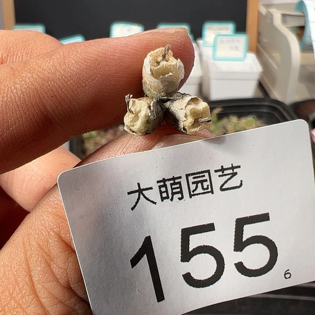 0000155 一物一拍……