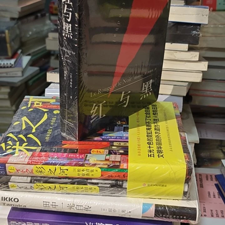 红与黑平装塑封库存书