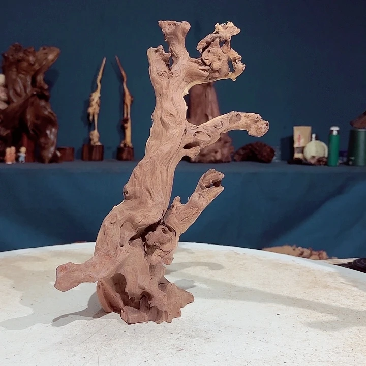 黑果木黑*349金丝红木羊蹄甲半成品