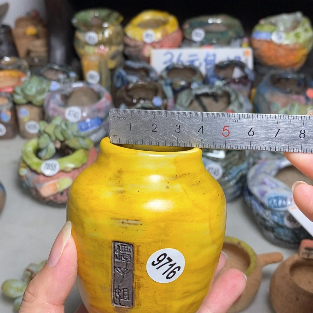 拍3送一个小礼物