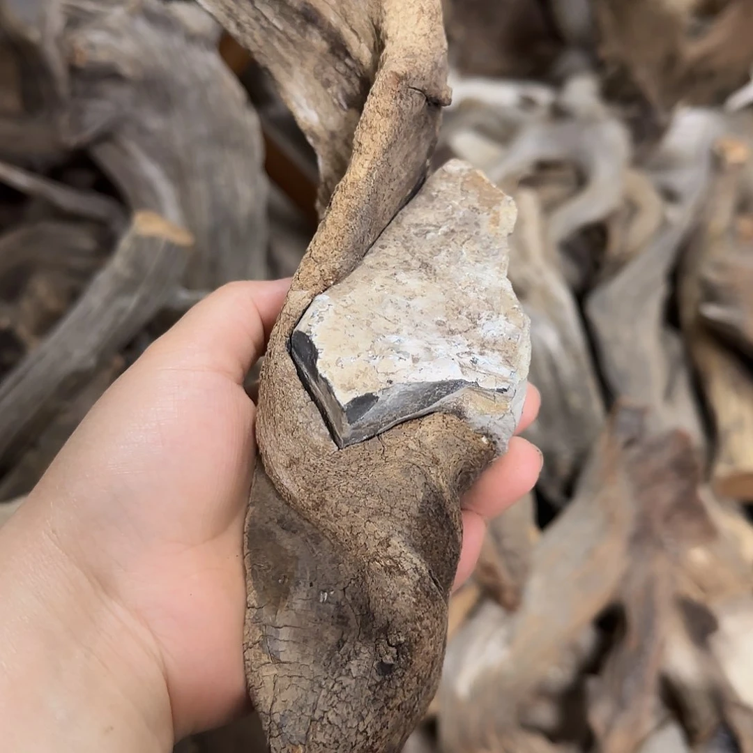 木平***乐陈化到位坨坨疙瘩