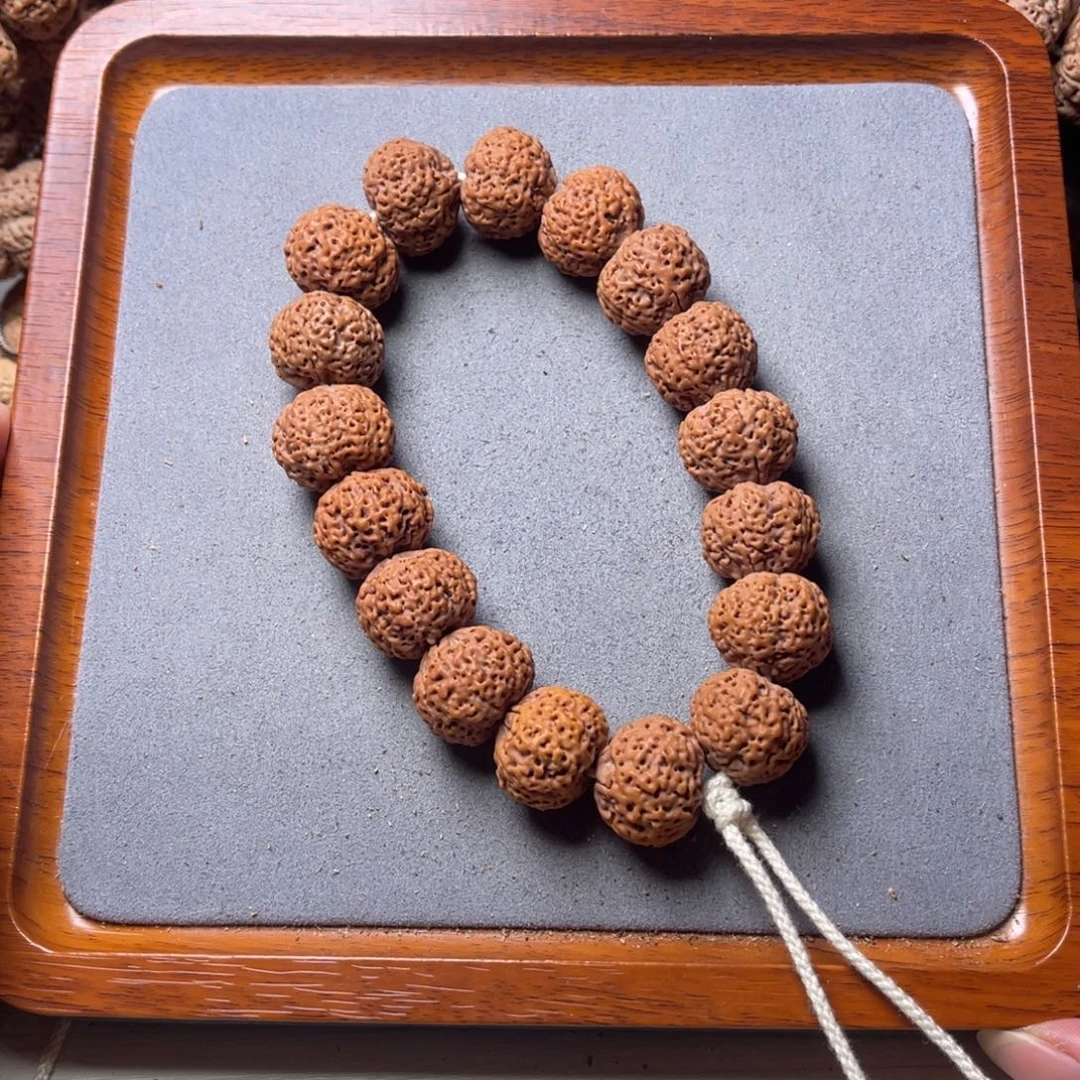 菩提籽类29号金刚菩提五星蜂王菠萝蜜20