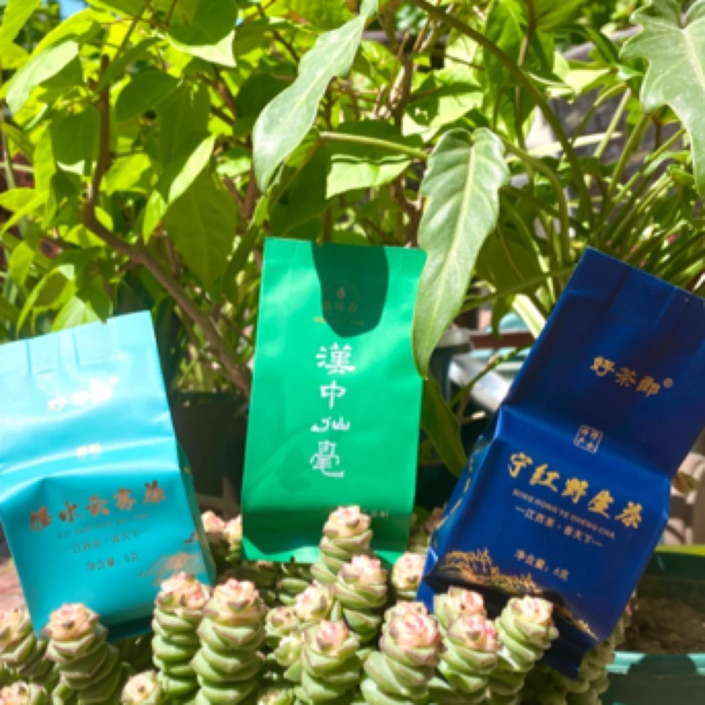 宁红茶高山野生茶云雾茶品鉴装