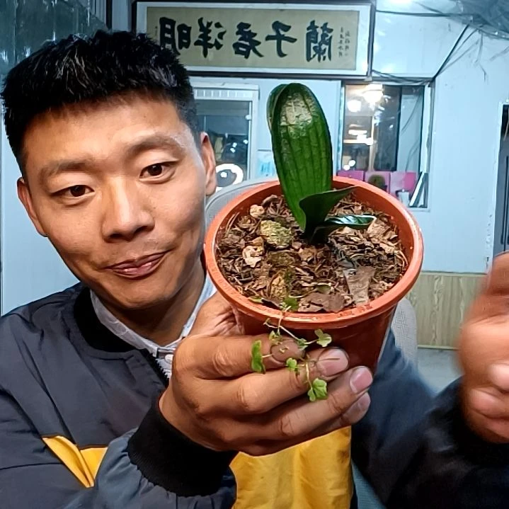 69血兰高贵大哥付