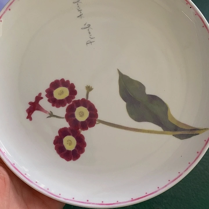 茶杯紫砂我们都在努力着改变自己