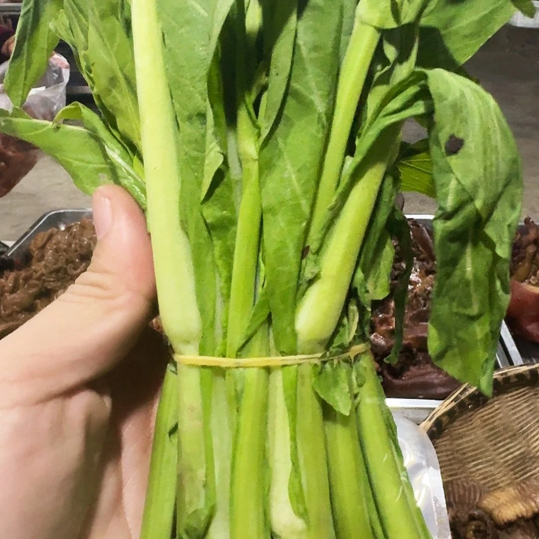 大***妹白菜中国大陆青菜