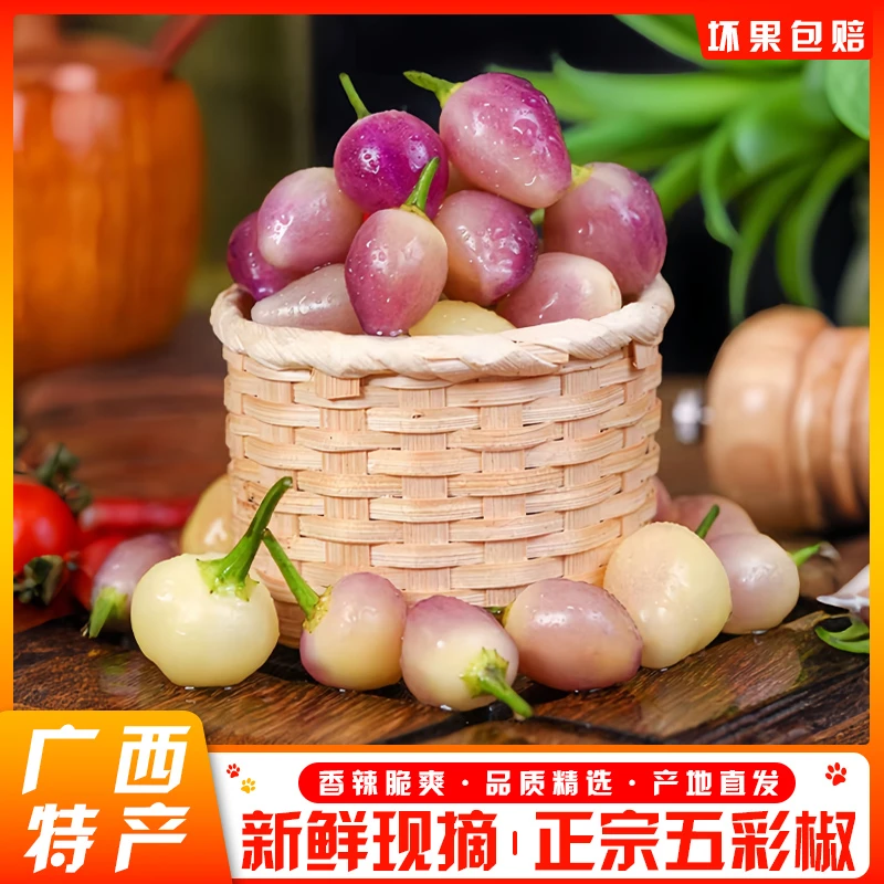 现摘现发五彩椒 广西特产七彩辣椒腌制专用泡椒整箱产地批发包邮