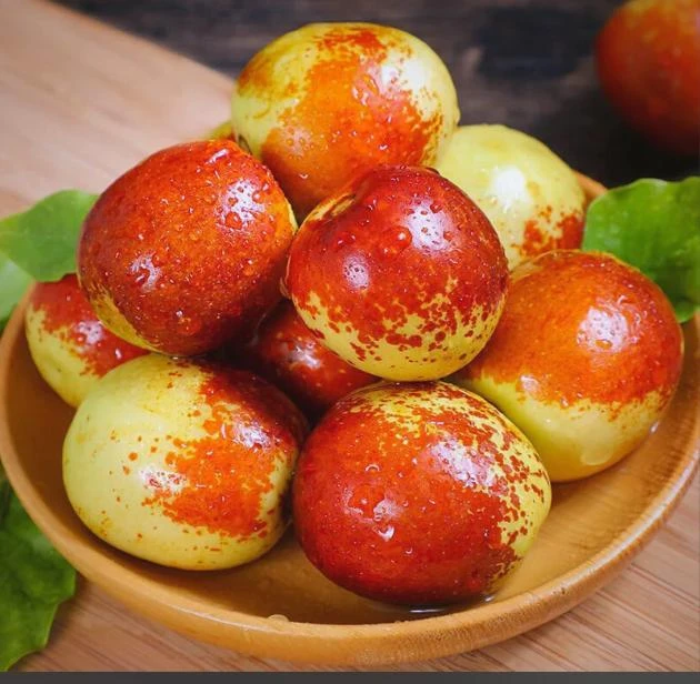 （高品质）果园现摘新鲜沾化冬枣脆甜多汁当季孕妇水果整箱大枣鲜枣