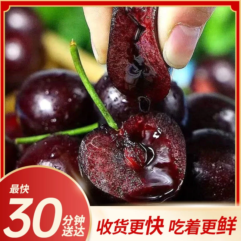 【小时达-瑞吉纳5JD】稀缺大果 智利进口车厘子【5斤原箱】未拆封 更新鲜