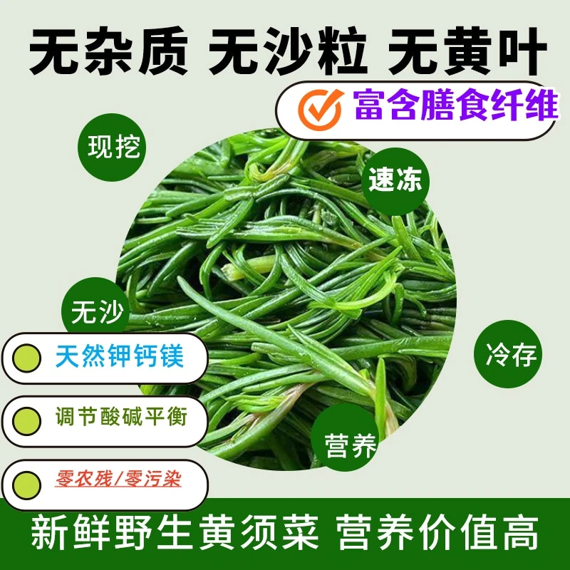 速冻黄须菜现挖营养丰富口感鲜嫩自然生长凉拌蒸菜水饺包子