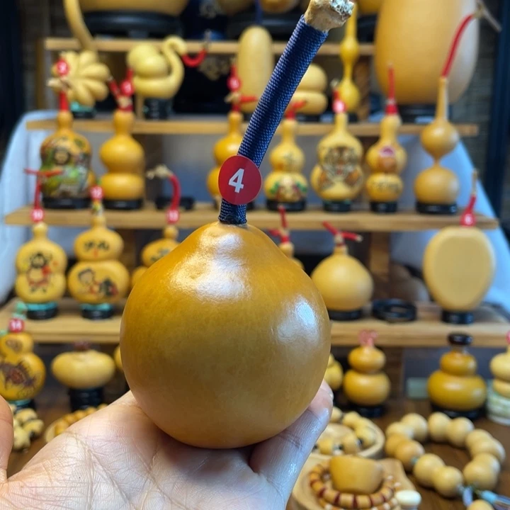 用****8天然葫芦自然生长