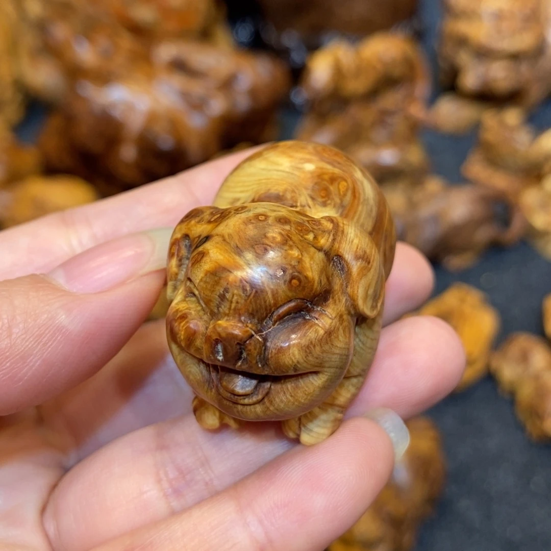 柏木（崖柏）太行精品陈化瘤疤小猪