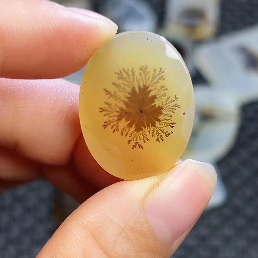 玛瑙/玉髓未镶嵌珠宝半成品