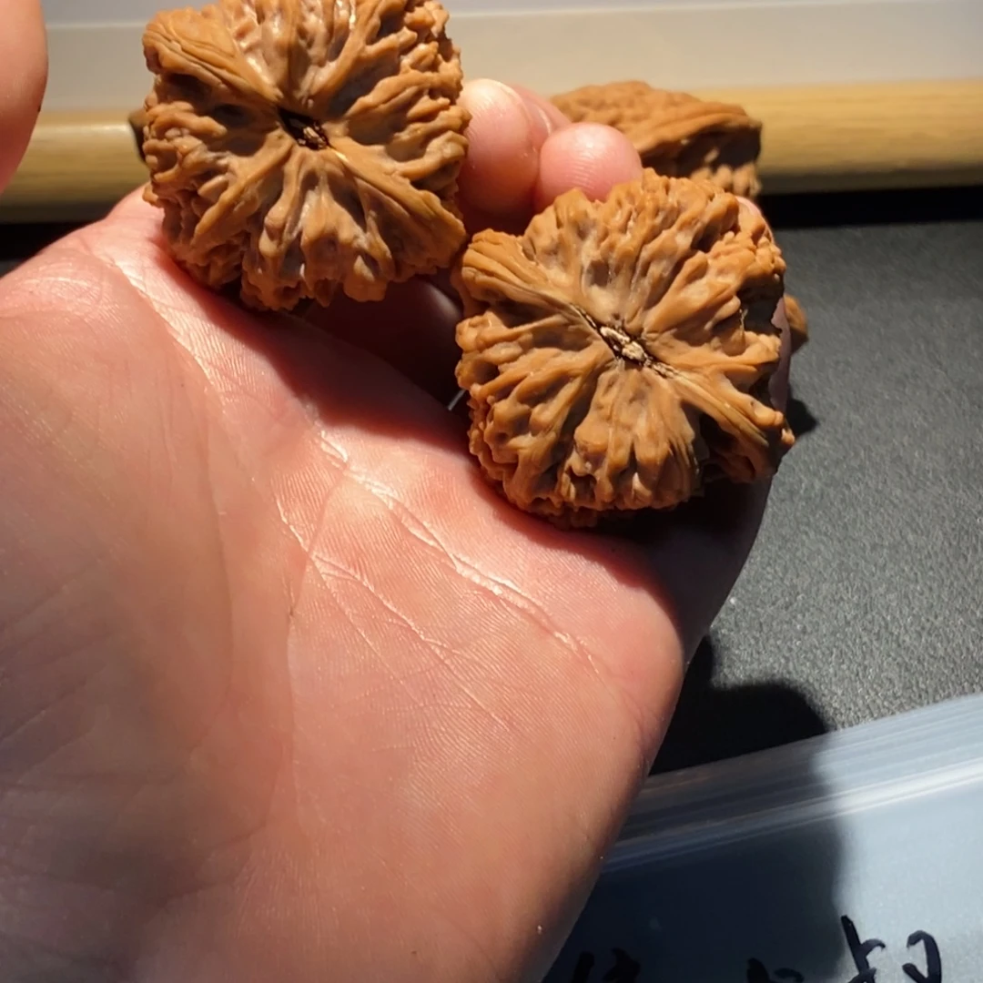 隼***叔手串/手链核桃南疆石40天残