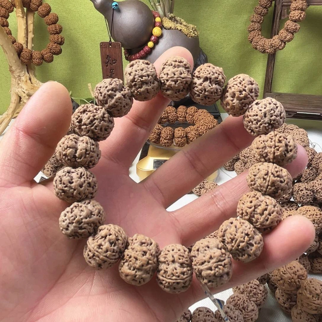 金刚菩提手串古龙梅花19