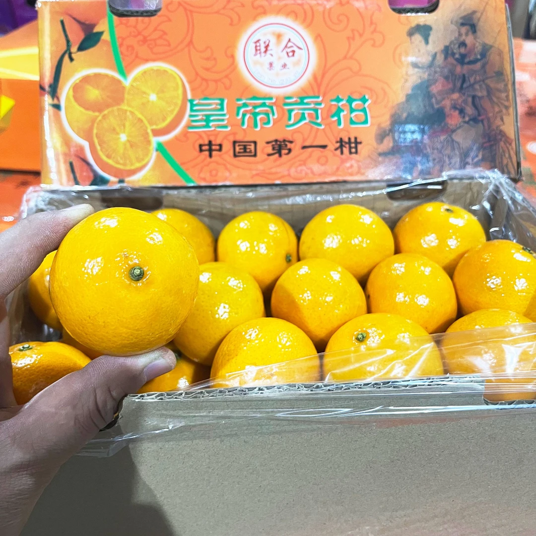 【原箱】【Z】【好吃的贡柑】（带箱5.5斤左右）