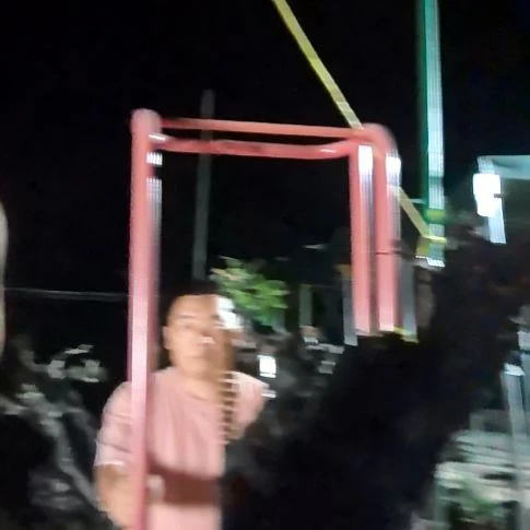 夏***霞无花朵金弹子盆景好养活